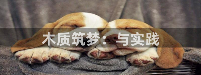 安信12是正规还是仿：木质筑梦：与实践