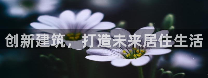 安信12是正规还是仿：创新建筑，打造未来居住生活