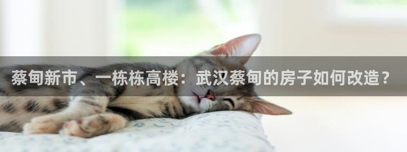 安信12开户：蔡甸新市、一栋栋高楼：武汉蔡甸的房子如何改造？