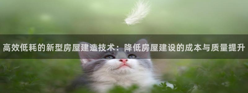 安信12主管：高效低耗的新型房屋建造技术：降低房屋建设的成本与质量提升