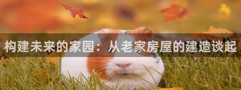 安立信T12测评：构建未来的家园：从老家房屋的建造谈起