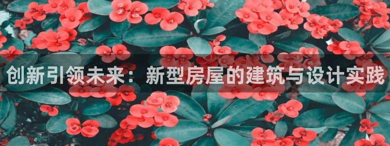 安信可12f：创新引领未来：新型房屋的建筑与设计实践