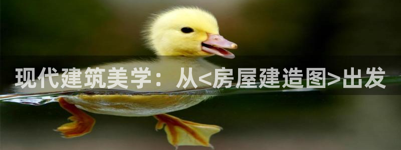 安信12登录：现代建筑美学：从<房屋建造图>出发