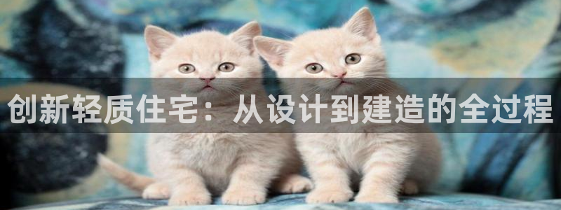 安信招商rk金12手12指jc：创新轻质住宅：从设计到建造的全过程