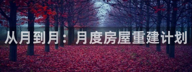 安信12娱乐：从月到月：月度房屋重建计划
