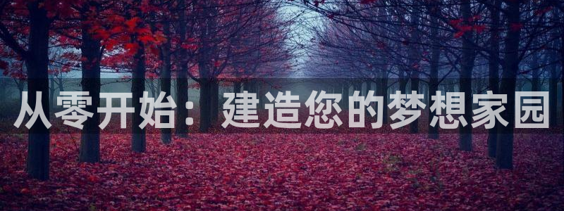 安信12娱乐平台：从零开始：建造您的梦想家园