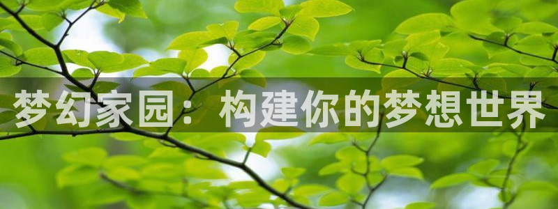 安信12级大众：梦幻家园：构建你的梦想世界