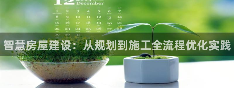 安信12是做什么：智慧房屋建设：从规划到施工全流程优化实践