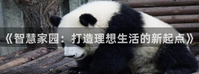 安信12注册咋7O777：《智慧家园：打造理想生活的新起点》