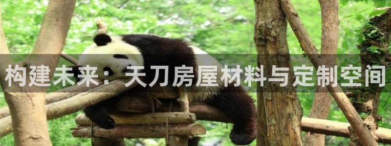 安信12是做什么