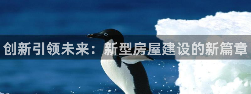 安信12是什么：创新引领未来：新型房屋建设的新篇章