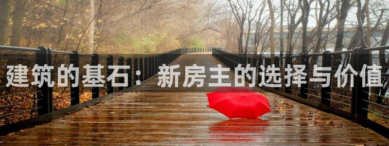 安信12网站：建筑的基石：新房主的选择与价值