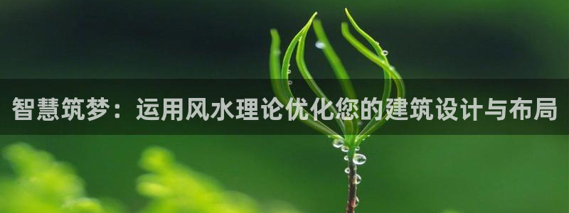 安信12：智慧筑梦：运用风水理论优化您的建筑设计与布局