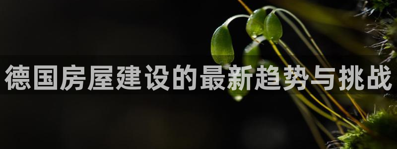 安信可12f12e：德国房屋建设的最新趋势与挑战