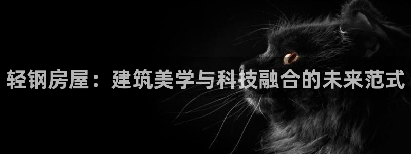 安信12娱乐主管