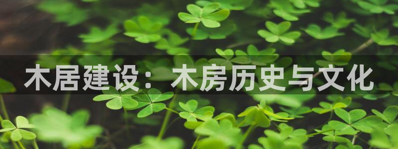 安立信T12测评：木居建设：木房历史与文化