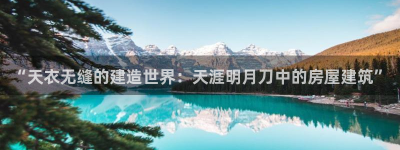 安信12官方网站查询：“天衣无缝的建造世界：天涯明月刀中的房屋建筑”