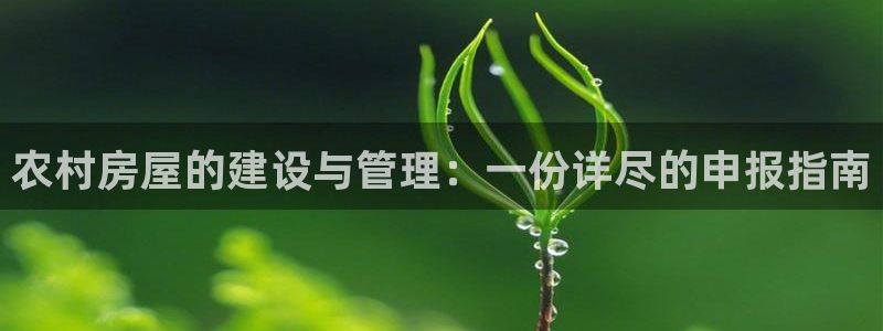 安信12平台怎么样