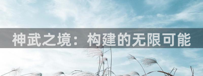 安信12平台注册：神武之境：构建的无限可能