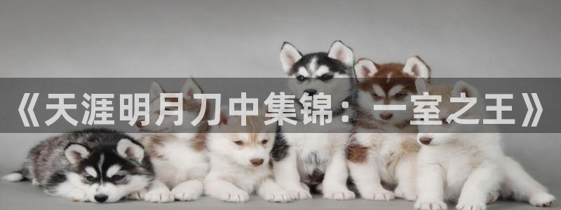 安信证券 12位：《天涯明月刀中集锦：一室之王》