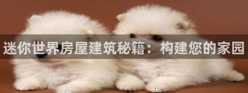 安信12负责人：迷你世界房屋建筑秘籍：构建您的家园