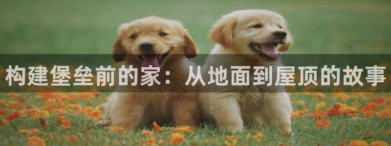 安信12平台开户：构建堡垒前的家：从地面到屋顶的故事