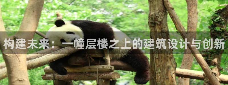 安信12平台：构建未来：一幢层楼之上的建筑设计与创新