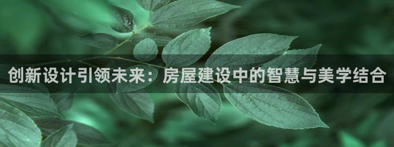 安信可12f：创新设计引领未来：房屋建设中的智慧与美学结合