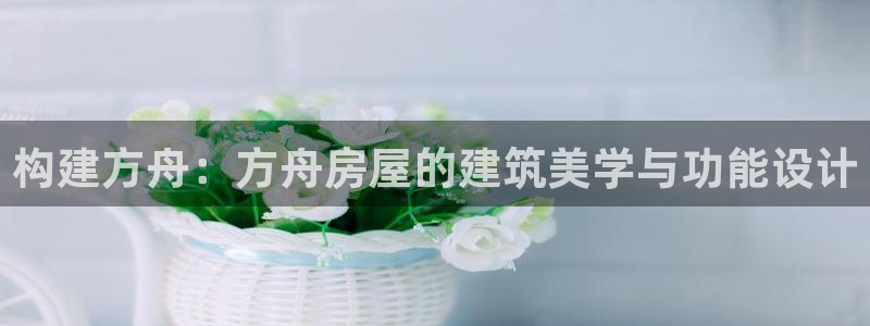 安信12周年庆典：构建方舟：方舟房屋的建筑美学与功能设计