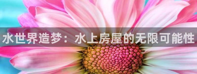 安信12如何开代理：水世界造梦：水上房屋的无限可能性