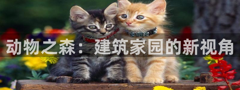 安信12位数资金号：动物之森：建筑家园的新视角