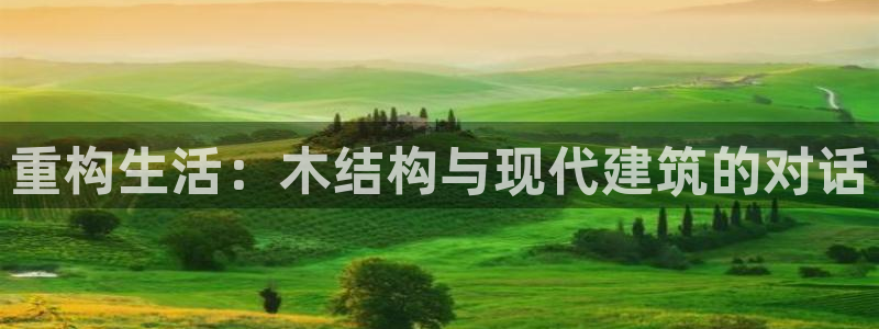 安信可wb12：重构生活：木结构与现代建筑的对话