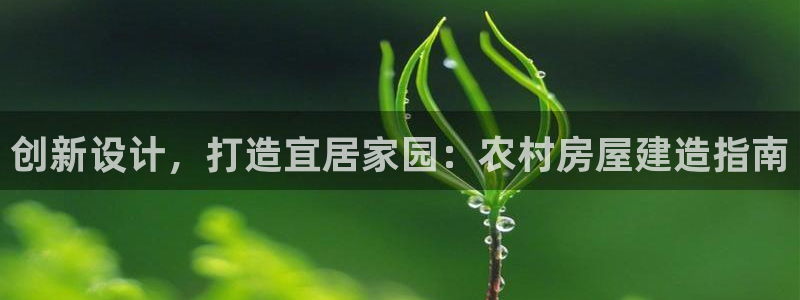 安信12平台最新消息：创新设计，打造宜居家园：农村房屋建造指南