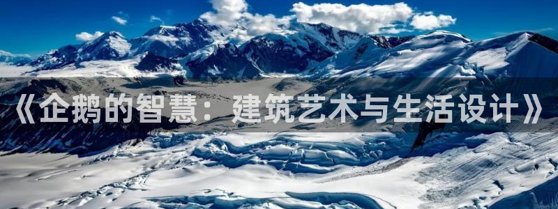 信安杯12：《企鹅的智慧：建筑艺术与生活设计》