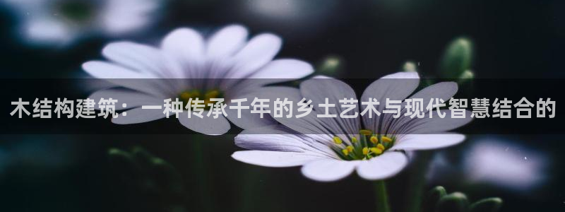 安信4娱乐去55 12：木结构建筑：一种传承千年的乡土艺术与现代智慧结合的