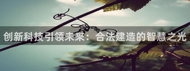 安信 12：创新科技引领未来：合法建造的智慧之光