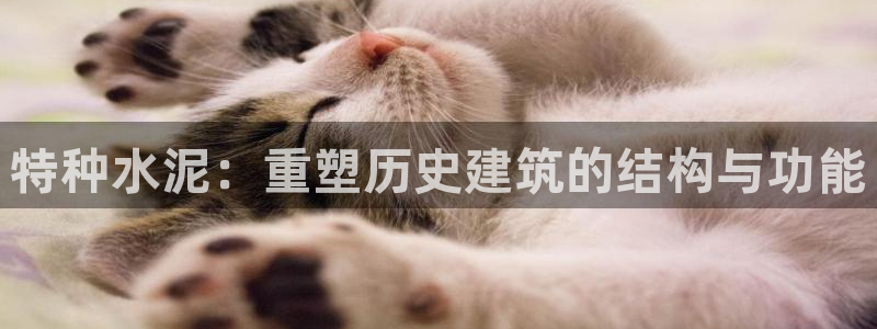 安信12平台介绍：特种水泥：重塑历史建筑的结构与功能