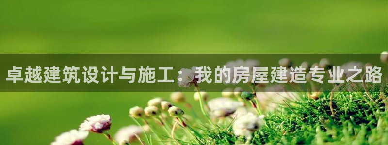 安信12级粉丝团福利：卓越建筑设计与施工：我的房屋建造专业之路