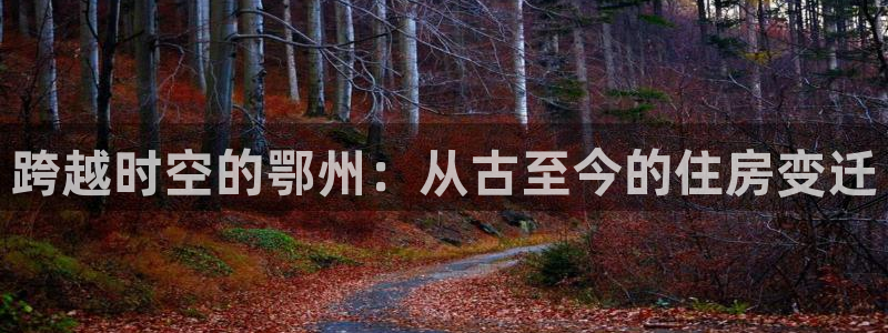 安信12彩票：跨越时空的鄂州：从古至今的住房变迁