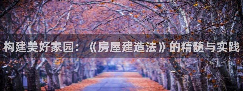 安信esp 12k：构建美好家园：《房屋建造法》的精髓与实践