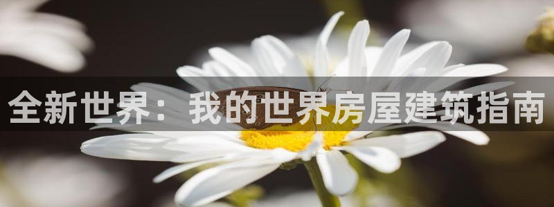 安信312 12：全新世界：我的世界房屋建筑指南