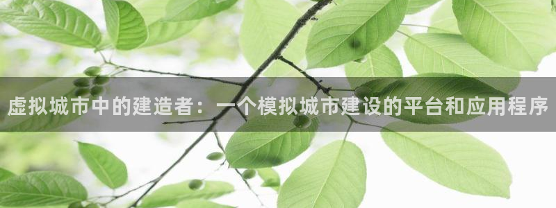 安信可 esp-12：虚拟城市中的建造者：一个模拟城市建设的平台和应用程序