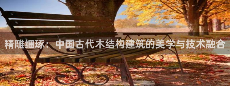 安信可12f12e：精雕细琢：中国古代木结构建筑的美学与技术融合