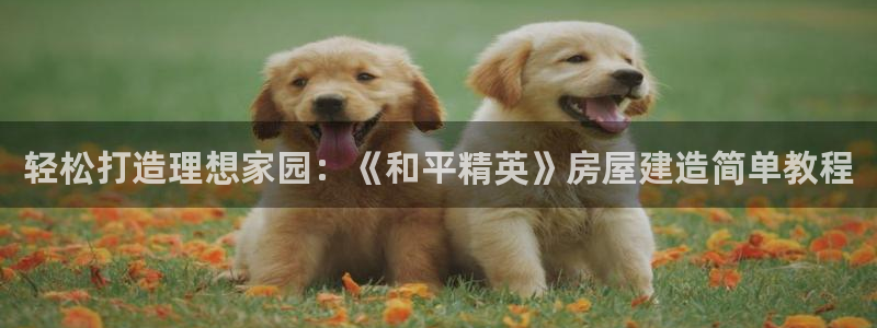 安信12娱乐招商探索空间：轻松打造理想家园：《和平精英》房屋建造简单教程