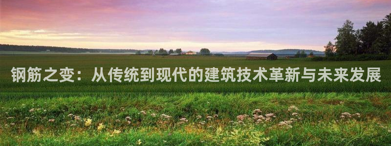 安信12周年庆典：钢筋之变：从传统到现代的建筑技术革新与未来发展