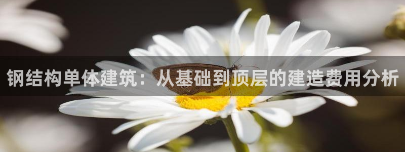安信可f12：钢结构单体建筑：从基础到顶层的建造费用分析