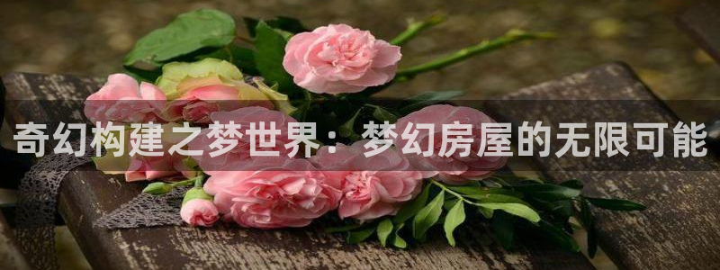 安立信12改装：奇幻构建之梦世界：梦幻房屋的无限可能