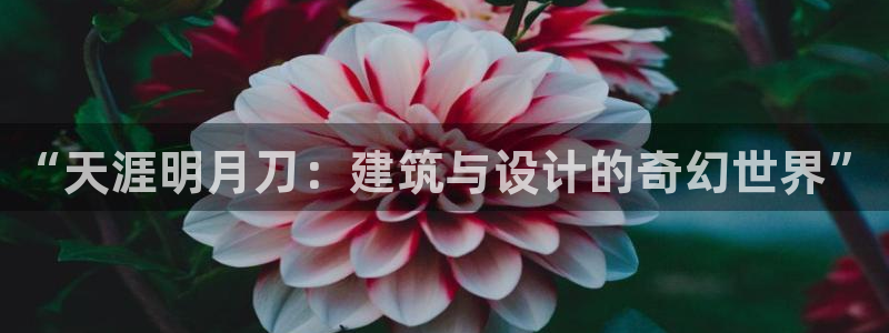 安信安赢12号：“天涯明月刀：建筑与设计的奇幻世界”