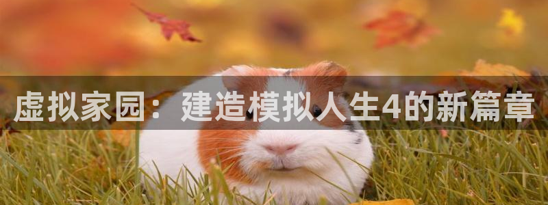 12月安信推荐：虚拟家园：建造模拟人生4的新篇章