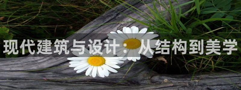 安信地板12mm：现代建筑与设计：从结构到美学